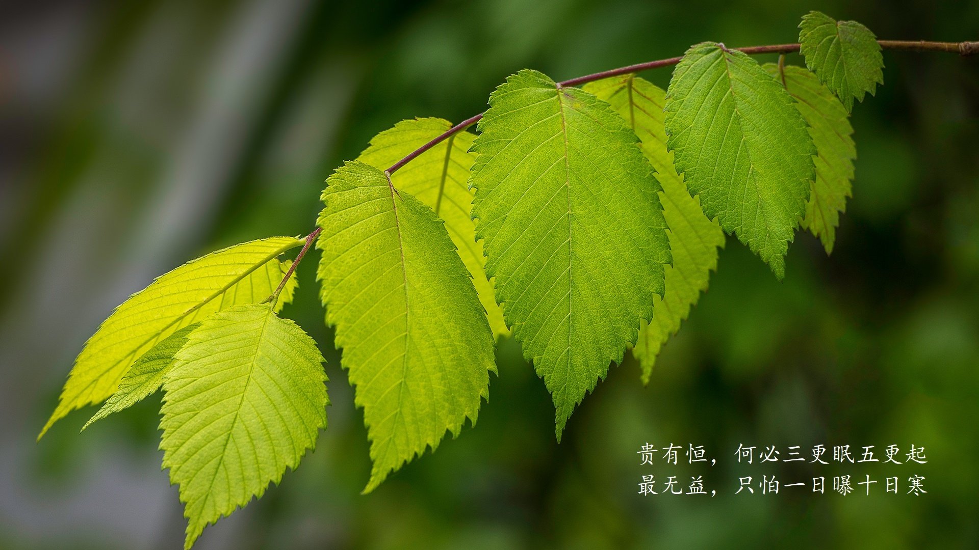 汽车配件的采购渠道（汽车配件的采购渠道是什么）